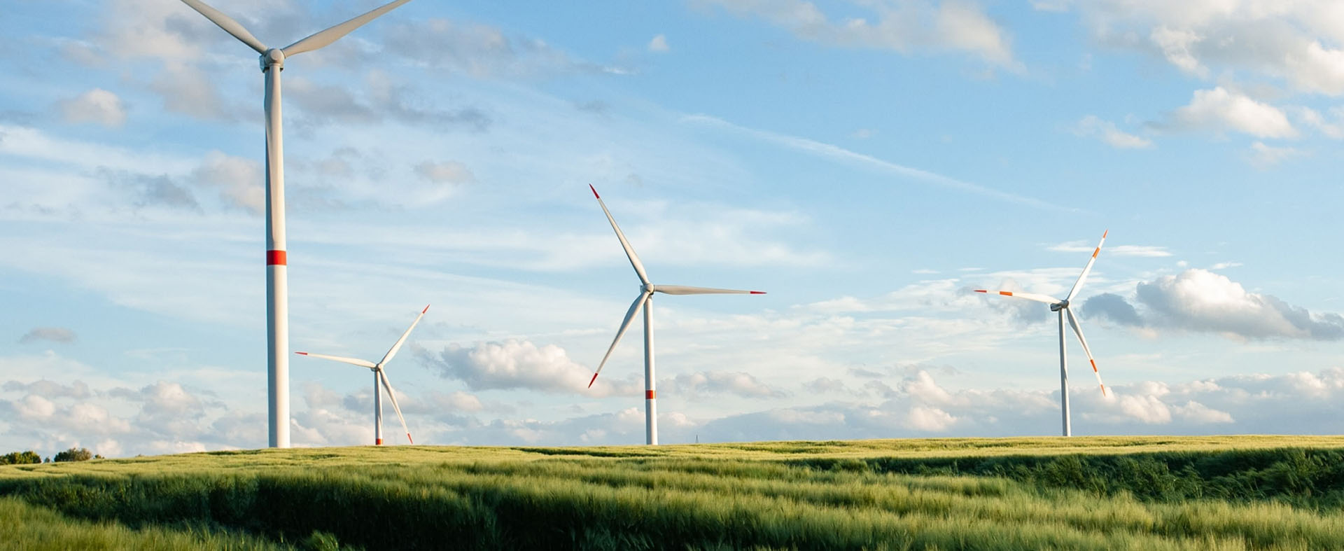 Bg Content Popup Grid