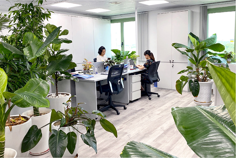 Location Hai Phong Office