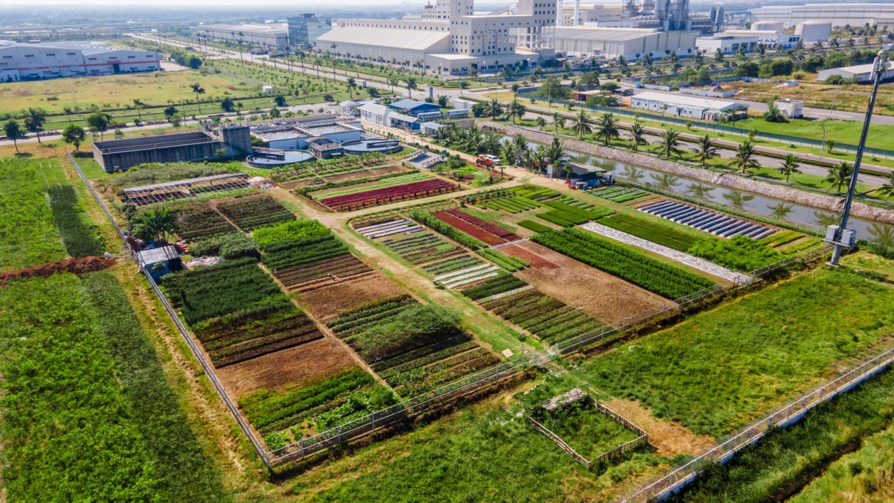 Sustainability Img_2