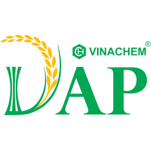 137 Dap Vinachem
