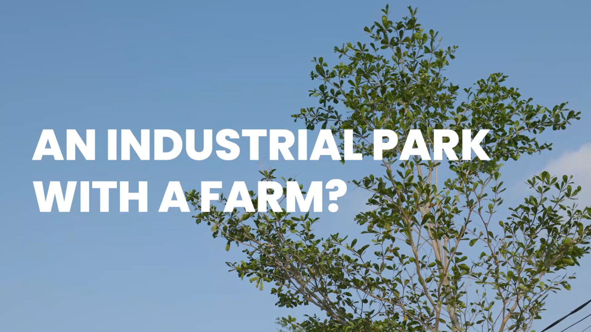 Thumbnail Deep C Farm Video